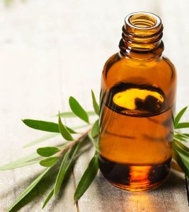 11 Effective Ways To Use Tea Tree Oil For...