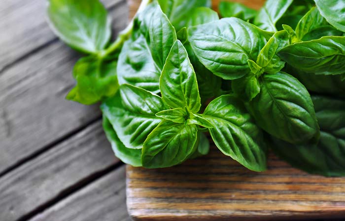 1. Basil