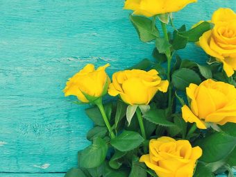 Top 10 Most Beautiful Yellow Roses