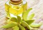 11 Benefits Of Ylang Ylang Essential Oil,...