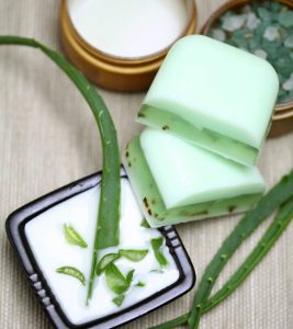 DIY Aloe Vera Soap: A Step By Step Guide ...
