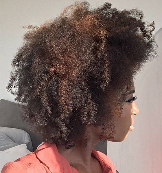 Highlighted kinky curly bob haircut for black women