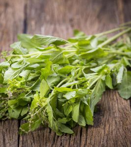 20 Benefits Of Basil For Skin And Hair, N...