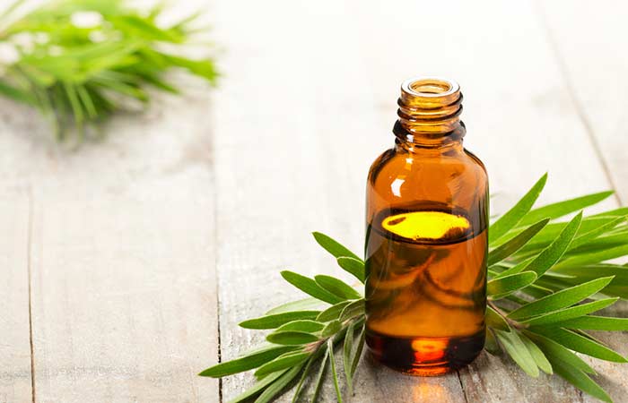 Tea tree oil for dandruff on eyelashes